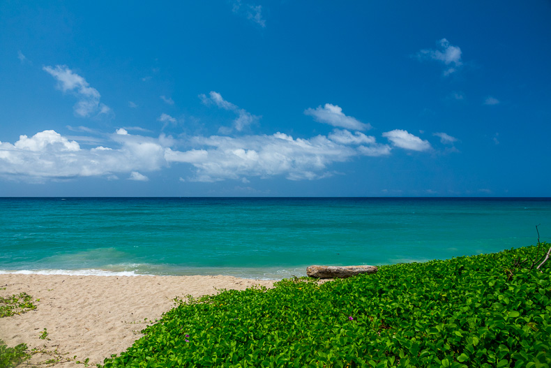Strand und Grünpflanzen am Meer von Kenting